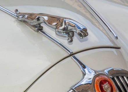 Hood ornament on a Jaguar automobile car