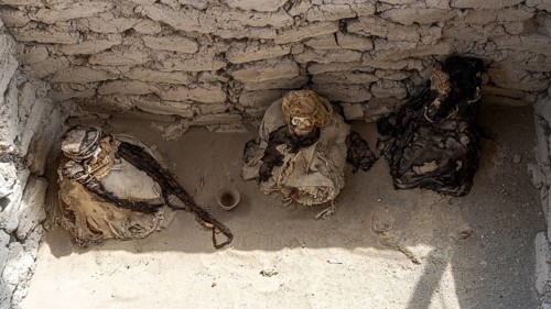 Tomb with mummies, Chauchilla Cemetery, Nazca, Peru, South America
