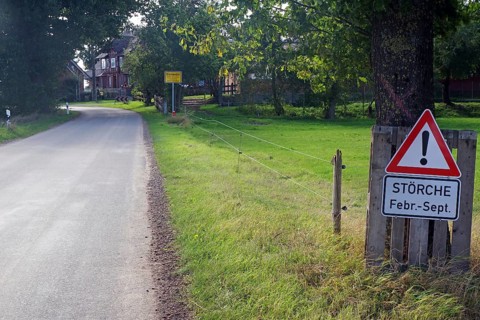 Country road with a warning sign for storks in a green village, Wendland, Elbe, Germany, Europe