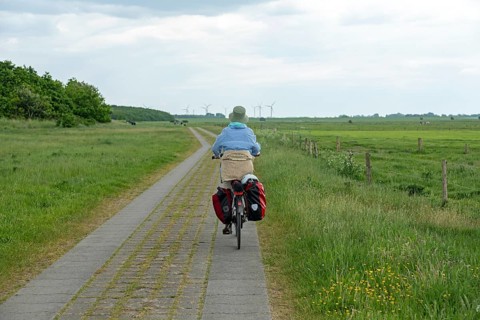 Cyclist, Weser cycle path, Wurster Land, Lower Saxony, Germany, Europe