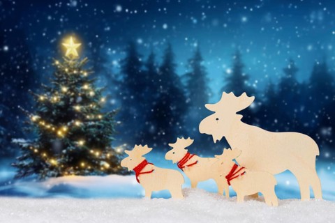 Christmas card for Christmas Card with reindeer moose and text free space Copyspace decoration and