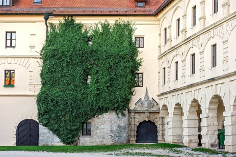 Large-scale common ivy (Hedera helix), portal of the riding ramp at Wülzburg Castle, Renaissance