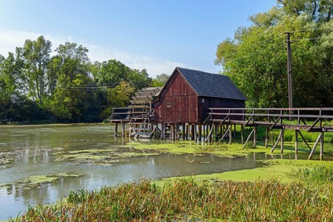 Wooden house on stilts on the banks of the Little Danube and reeds in the foreground, water wheel