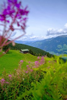 Bärenbadalm, Zillertaler Höhenstraße, Zillertal, Tyrol, Austria, Europe