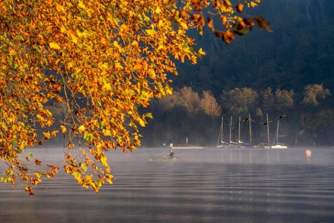 Sunrise, autumn atmosphere at Lake Baldeney, near Haus Scheppen, in Essen, rower, swan, North