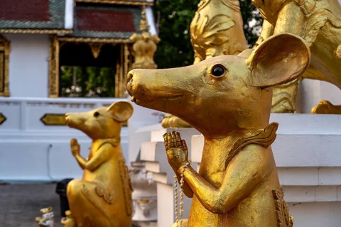Statues of rats guard the Buddhist temple Wat Phra That Si in Chom Thong, Thailand, Asia