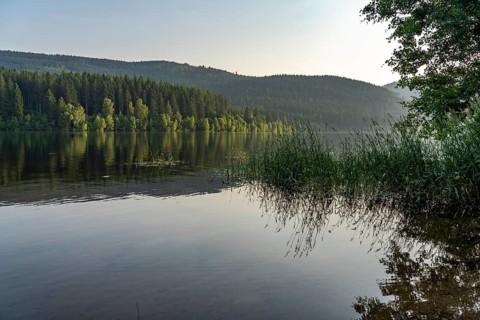 Schluchsee reservoir, Black Forest, Baden-Württemberg, Germany, Europe
