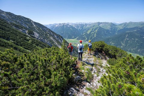 Three friends on a hiking trail between mountain pines, mountaineers climbing the Hochunnütz,