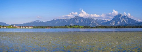 Hopfensee, behind it Hopfen am See, Tegelberg, 1881m, and Saeuling, 2047m, Ostallgaeu, Allgaeu,