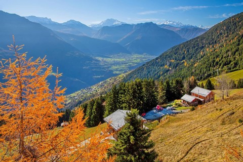 Autumn landscape with chalets above the Rhone valley and panorama of Fletschhorn 3985m, Dom 4545m