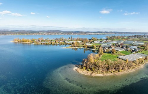Aerial view of the southwestern part of the island of Reichenau with autumn vegetation, Lake
