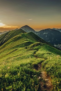 Hiking tour on the Hönig mountain in the Lechtal valley near Berwang in Tyrol, Austria, Europe