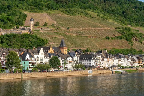 View of the Moselle and the village of Zell, Rhineland-Palatinate, Germany, Europe