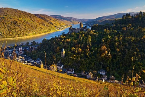 View of Bacharach with Stahleck Castle, hilltop castle above the Rhine, Upper Middle Rhine Valley