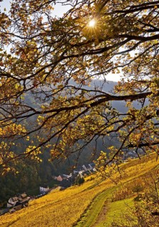 View of Bacharach in autumn, UNESCO World Heritage Upper Middle Rhine Valley, Rhineland-Palatinate,