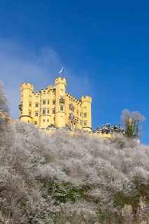 Yellow castle on a snowy hill with blue sky and snow-covered trees in the foreground,