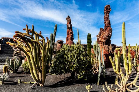 2016, Guatiza, Lanzarote, Jardin de Cactus by Cesar Manrique, ESP, Spain, Canary Islands, Canary
