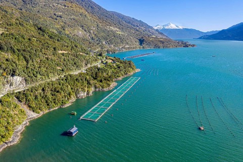 Aerial view of salmon farm in the Reloncavi fjord southeast of Puerto Montt, Chile, South America
