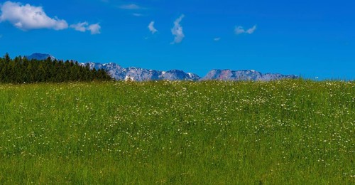 Landscape at Tauglgries in Bad Vingau, Austria, Europe