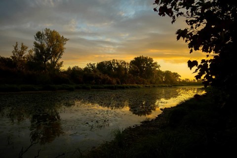 Morning atmosphere, riparian forest, sunrise, Lower Austria