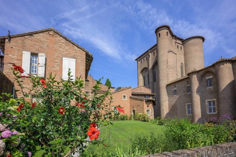 Hibiscus bush and old brick houses at the Palais de la Berbie, Albi, Département Tarn, France,