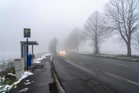Dense fog, with visibility partly below 100 metres, country road, bus stop Am Treppchen,