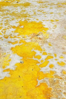 Splashes of sulphur colouring Stefanos crater ground, Nisyros Island, Dodecanese Islands, Greece,