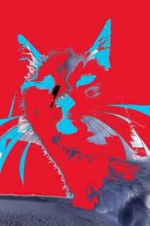 Michas Cats, art, mixed media, artist Michael Preyer, abstract cat portrait, portrait, cat head,