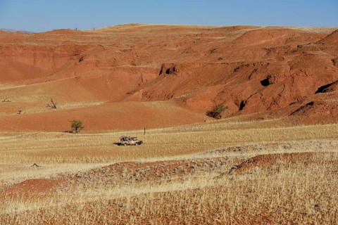 Off-road vehicle with tourists in the grassy landscape of Gondwana Namib Park, near Sesriem, Hardap