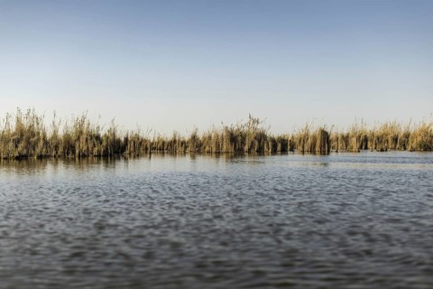 Weltkulturerbe Marschland, in Basra, 10.03.2023