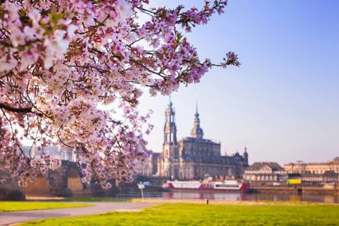 Spring on the Königsufer in Dresden
