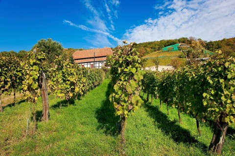Klaus Zimmerling Winery
