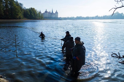 Fishing of the castle pond in Moritzburg