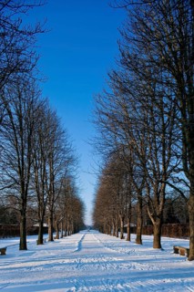 Pillnitz Palace Park in winter, Maille railway