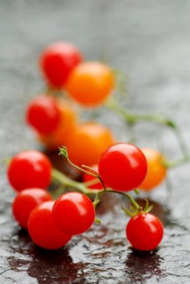 Savages Lycopersiconn (Solanum peruvianum)