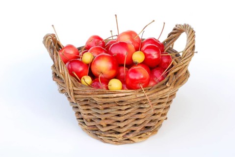 Ornamental apples (Malus), basket