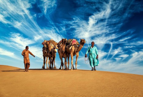 Rajasthan travel background, two Indian cameleers (camel drivers) with camels in dunes of Thar