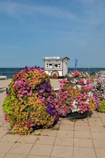 Ticket carts, flowers, beach promenade, Kühlungsborn, Mecklenburg-Western Pomerania, Germany,