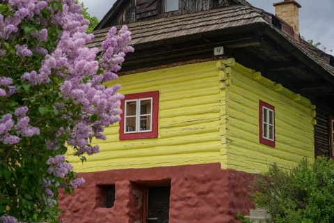 Flowering lilac and colourfully painted wooden house, Vlkolinec, Unesco World Heritage Site,