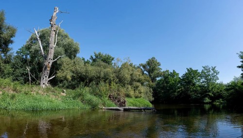 River landscape of the Thaya in late summer, Czech Republic, Europe
