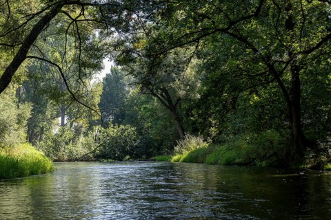 River landscape of the Thaya in late summer, Czech Republic, Europe