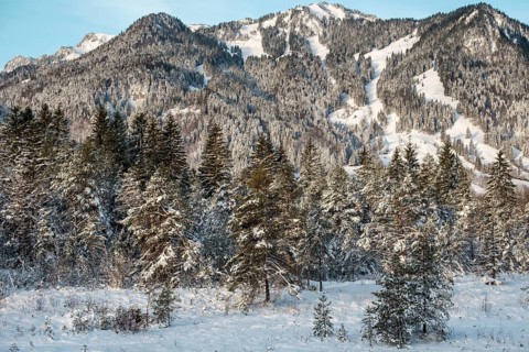 Landscape, mountains, Isar floodplains, nature, wintry, trees, winter picture, Christmas, blue sky,