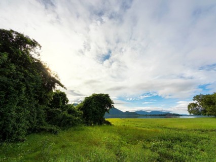 Primeval forest trees and grasslands, Kandalama Lake, Dambulla, Sri Lanka, Asia