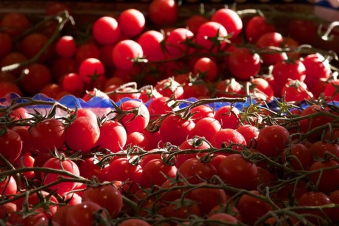Vine tomatoes, close, light and shade, markets, open air, Palermo, capital, Sicily, Italy, Europe