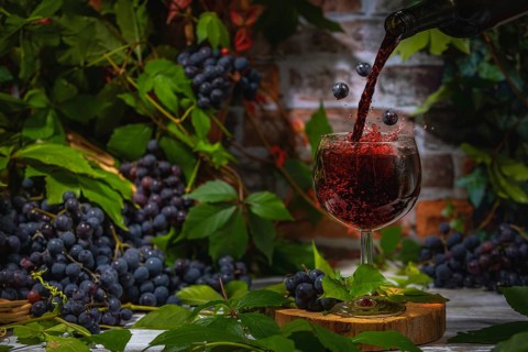 Pouring wine into glass surrounded by blue burgundy grapes in front of brick wall with leaves
