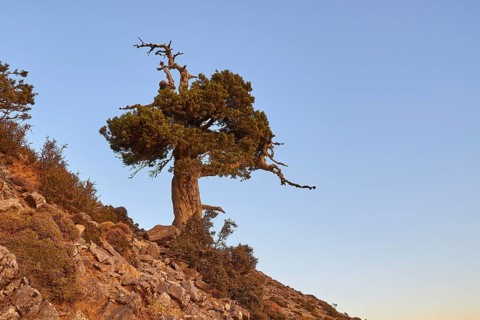 Gingilos, Hiking on the Gingilos, Morning light, Cloudless blue sky, Samaria Gorge, Omalos, Lefka