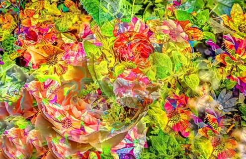 Oil painting-like shot, various bright flowers, red, yellow and purple flowers creative, different