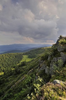 View over the Vosges mountains, Alsace, France, Europe