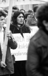 A ban on the Turkish right-wing organisation Graue Woelfe and the NPD was demanded by predominantly