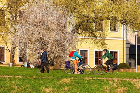 Spring on the Königsufer in Dresden